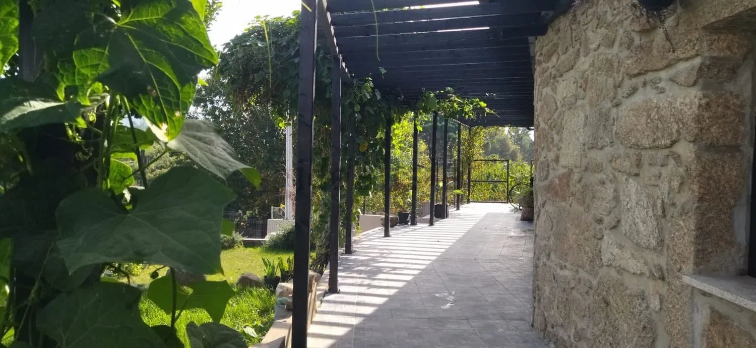 Excelente Moradia Independente T3 em Pedra com Jardim, Sabariz - Vila Verde!